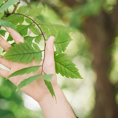 Воздушные связи